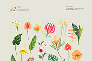 Tropical Summer Flowers, an Illustration by Manimanisa (Thumbnail 6 of 9)