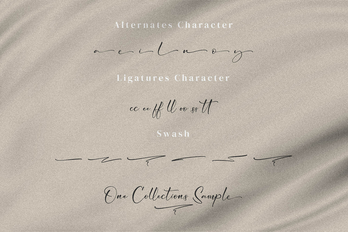 Cicaero, a Script Font by Integritype Studio (Photo 11 of 15)
