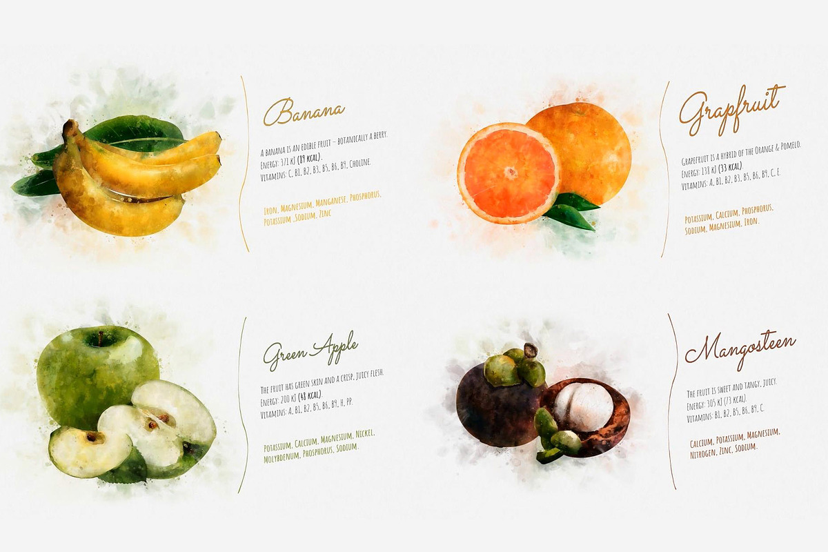 Watercolor Fruits - After Effects, a Templates & Theme by ConceptCafe (Photo 6 of 14)