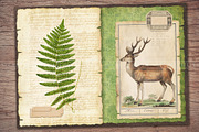 Forest Scrapbooking Kit, an Animal Illustration by Secret Helper (Thumbnail 6 of 9)