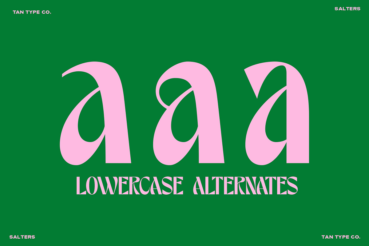 TAN - SALTERS, a Font by TanType (Photo 12 of 14)