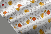 Hand drawn leaves of different trees, a Decorative Illustration by Tkoko vectors & patterns (Thumbnail 5 of 14)