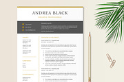 Black and Gold Resume Template, a Resume Template by Stanin Studio (Thumbnail 3 of 10)