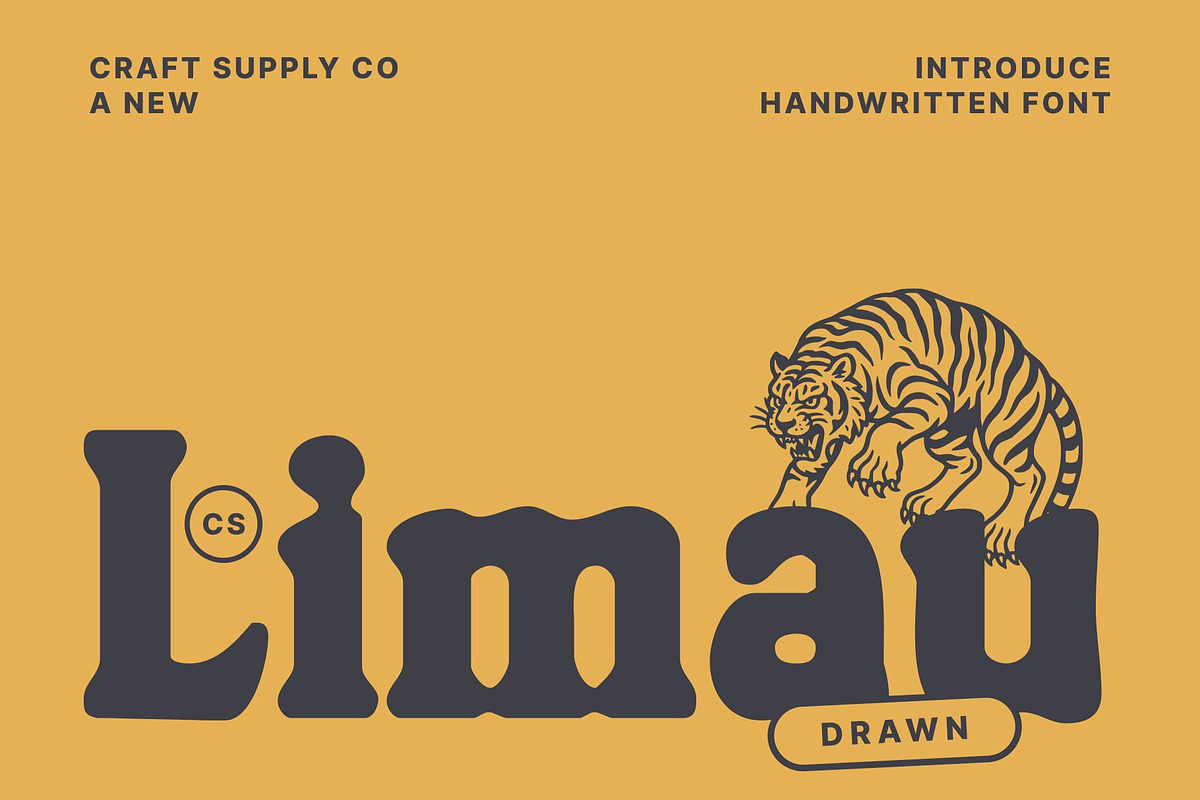 CS Limau Drawn, a Serif Font by Craft Supply Co. (Photo 1 of 8)
