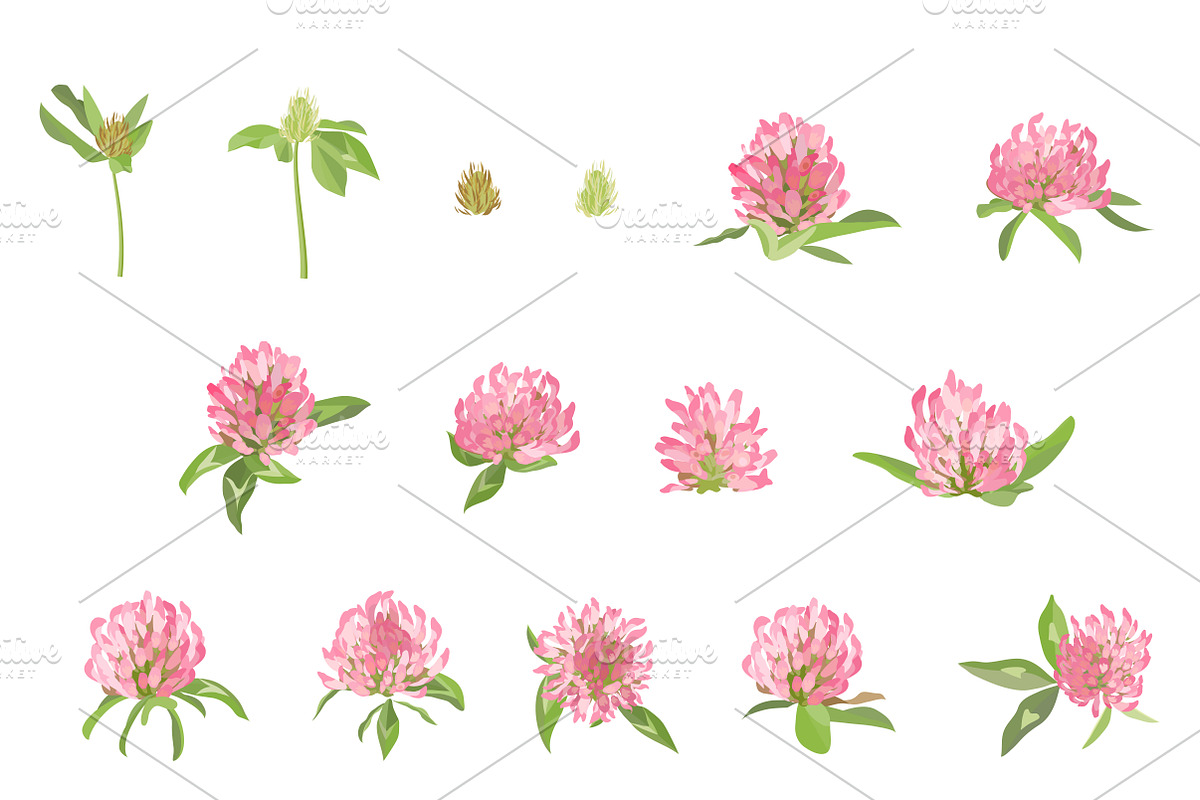 Vector object brushes. Clover preview 5