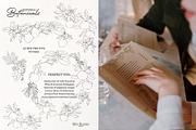 Editorial Botanical Line Art, an Object Illustration by Mio Buono (Thumbnail 5 of 16)