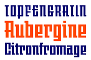 JAF Johannes, a Sans Serif Font by Just Another Foundry (Thumbnail 3 of 3)