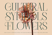 Barely Painter Elegant Serif Font, a Serif Font by timelesstype.co (Thumbnail 7 of 20)