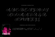 Bulvaryante - Romantic Calligraphy, a Script Font by RockboyStd (Thumbnail 9 of 12)