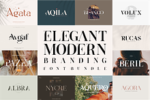 Elegant Modern Branding Font Bundle