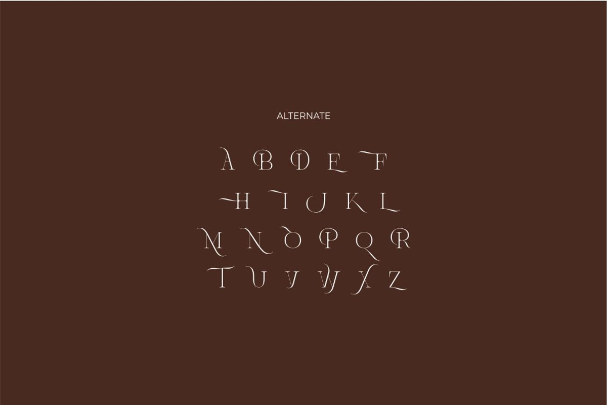 Brisca Miera - Chic Ligature Font, a Serif Font by suhadidesign (Photo 13 of 13)