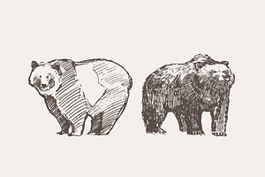 Set Of Sketches Of Walking Bears