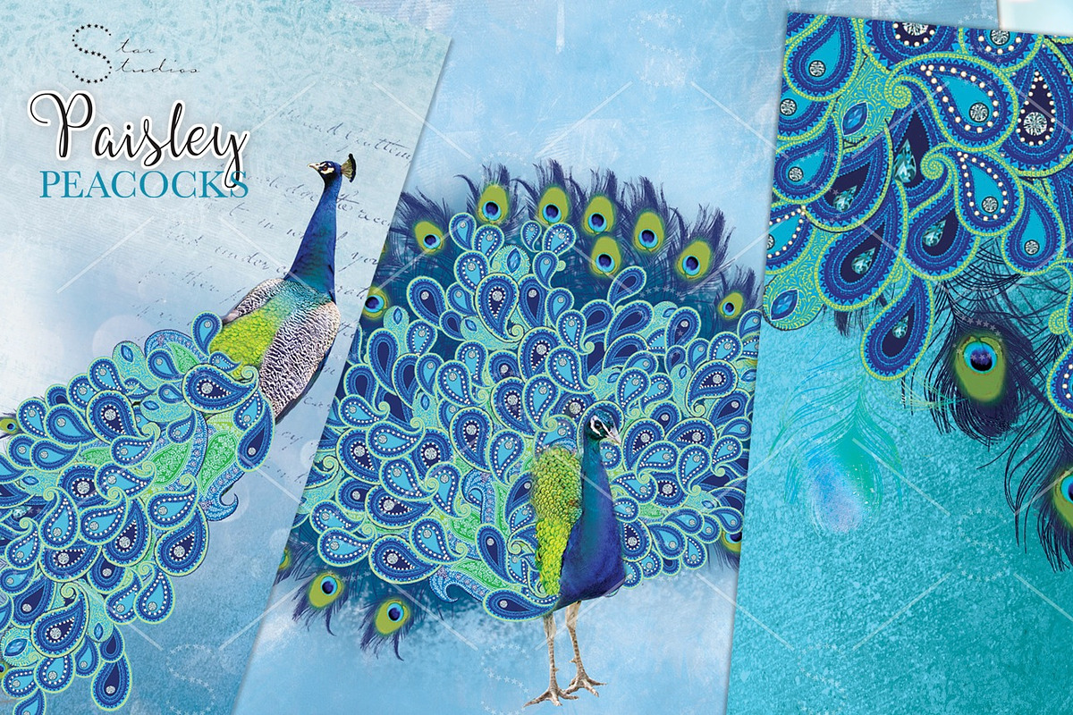 Paisley Peacocks Pack, an Illustration by Dana Designs (Photo 3 of 5)