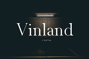 Vinland Serif, a Serif Font by Teweka (Thumbnail 1 of 9)