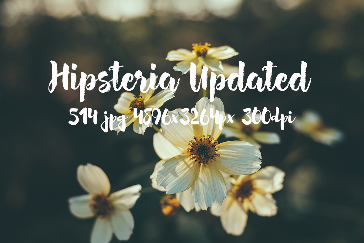 Hipsteria photo pack, a Templates & Theme by ApertureVintage (Photo 3 of 48)