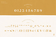 Mikela - Gorgeous Typefaces, a Serif Font by Kaligra.co (Thumbnail 49 of 49)