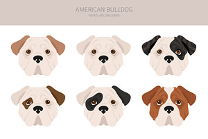 American Bulldog Clipart