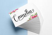 The Juliette | Script Font, a Script Font by Rastype (Thumbnail 2 of 6)