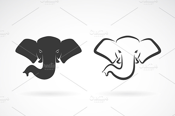 Vector Of An Elephant Head.