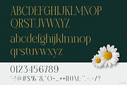 Populer, a Serif Font by Pinisi ART (Thumbnail 2 of 10)