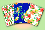 60% OFF TROPICAL SET, an Illustration by Elizaveta (Thumbnail 5 of 9)
