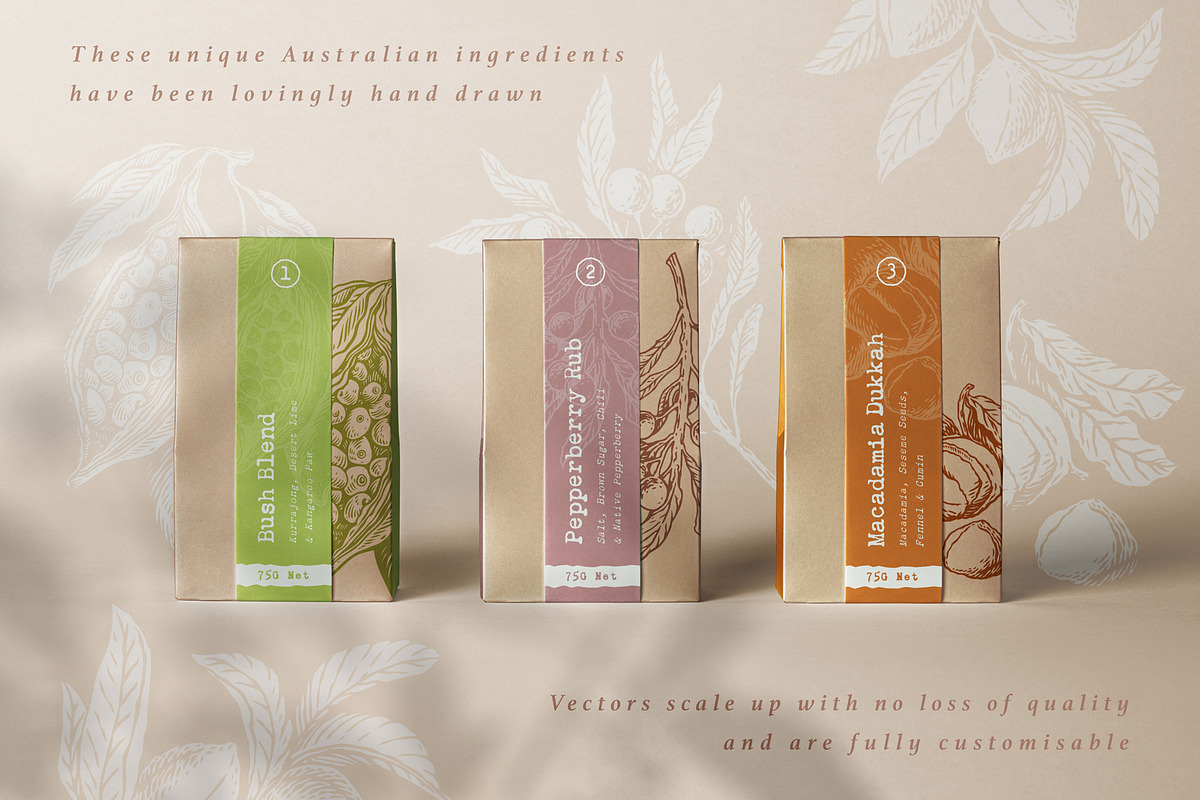 Australian Bush Foods Set, a Food Illustration by rouxsupplyco (Photo 2 of 8)