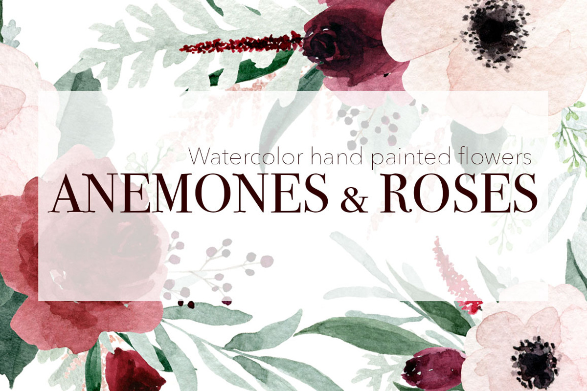 Anemones & Roses, an Illustration by MariePierLaf (Photo 1 of 5)