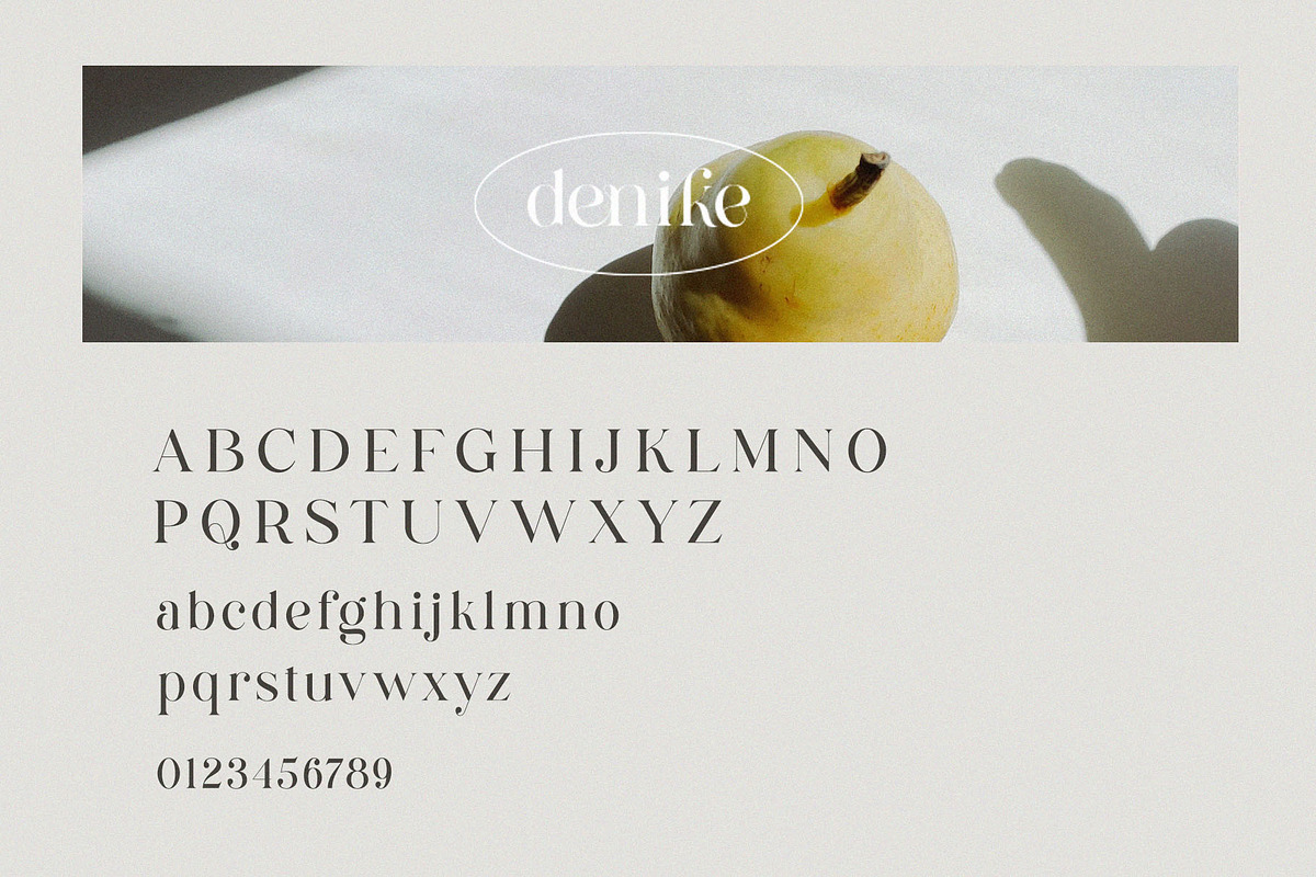 Denike || Stylish Modern Serif, a Serif Font by BrandSemut (Photo 9 of 11)