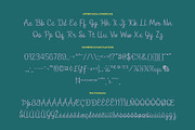 CS Greylin Disco, a Script Font by Craft Supply Co. (Thumbnail 8 of 8)
