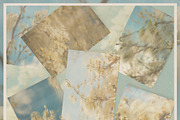 Plum Blossom Floral Backgrounds, a Background Graphic by lerinartstudio (Thumbnail 4 of 11)