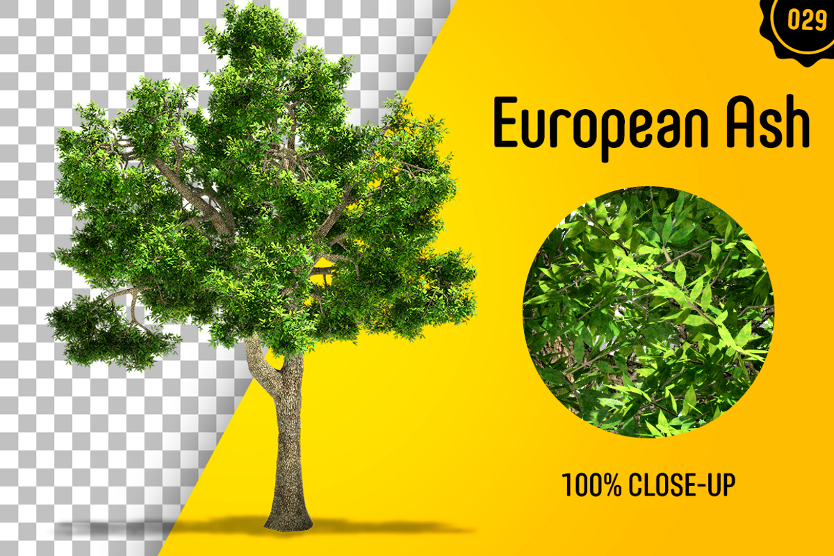 CUT OUT TREES - 60 PCS BUNDLE, a Packaging Mockup by 3DSTORE (Photo 30 of 63)