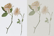 Paper Texture Overlays | PNG, a Texture Graphic by Studio Viita (Thumbnail 4 of 10)