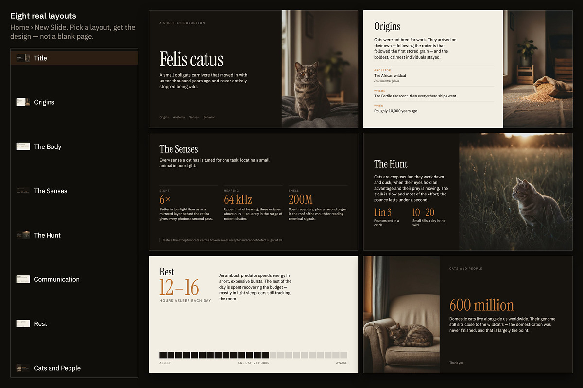 Understory Editorial Deck Template, a Presentation Template by Uno Creative Studio (Photo 5 of 10)