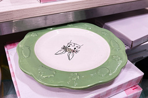 Decorative green rimmed plate showcased with cute mug on retailer shelf, a Photo by AS photostudio