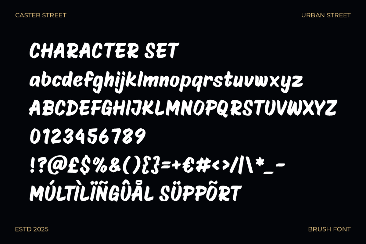 Caster Street Modern Brush Font, a Font by PutraCetol Studio (Photo 5 of 5)