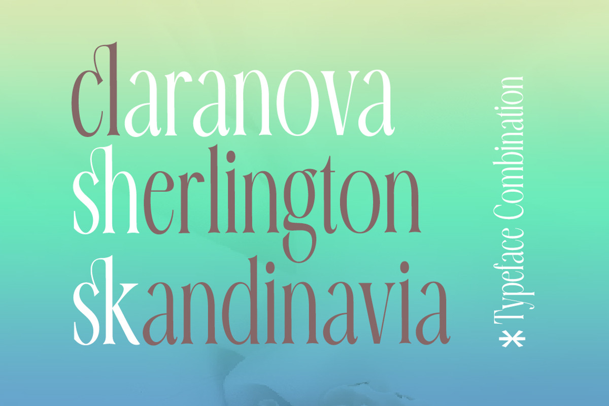 Erangle, a Serif Font by Gatype (Photo 5 of 9)