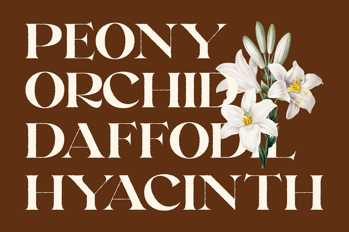 Raginy Rough, a Serif Font by Craft Supply Co. (Photo 4 of 8)
