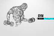 Silhouettes of a bodybuilder, GYM, a Healthcare Illustration by Matrosovv (Thumbnail 2 of 4)