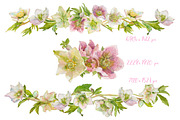 Hearts-watercolor-Hellebore, an Illustration by watercolorwild.graphics (Thumbnail 18 of 19)