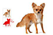 Animal Watercolor Paint Photo Effect, an Action Add-On by Photoshop Action (Thumbnail 4 of 9)