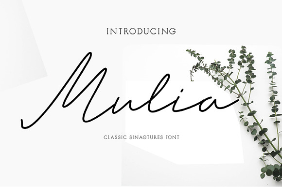 Mulia preview 7