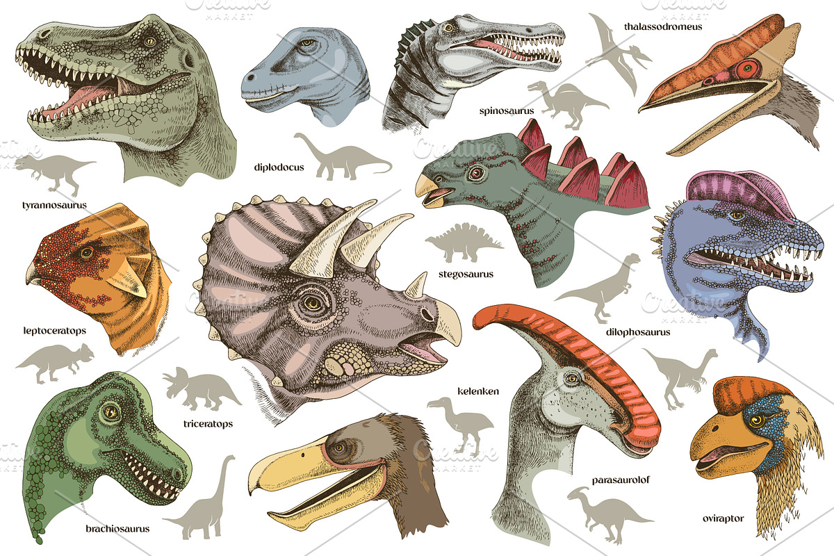 Hand drawn dinosaurs set, an Animal Illustration by handsketched (Photo 3 of 9)