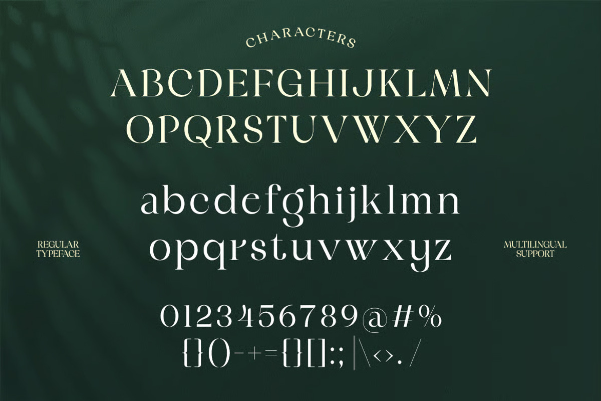 Margline – Stylish Serif Typeface, a Serif Font by Brand Earth (Photo 2 of 8)