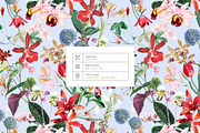 Exotic Orchids, Prints & Motif!, a Pattern Graphic by TSTUDIO (Thumbnail 5 of 10)