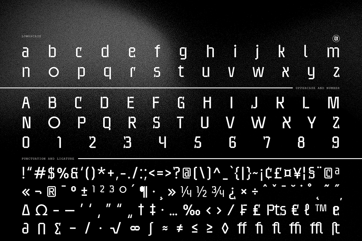 UT Sracotien - A Super Family Font, a Sans Serif Font by Universitype (Photo 8 of 17)