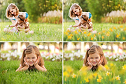 Daffodils Flowers photo overlays, a Layer Style Add-On by BrownLeopard (Thumbnail 4 of 7)