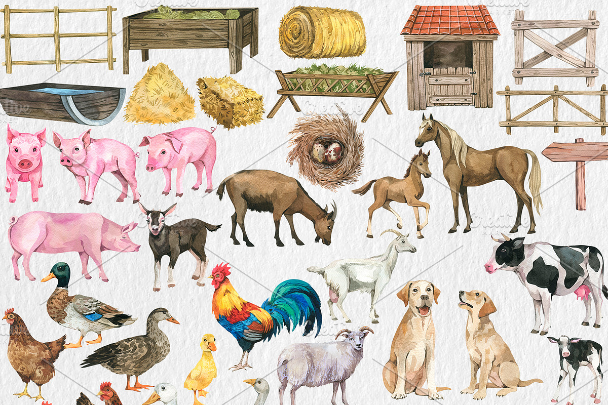Watercolor Farm animals clipart, PNG, an Animal Illustration by PatternPalette (Photo 2 of 5)
