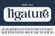 Baik, a Serif Font by zaaintype (Thumbnail 6 of 10)
