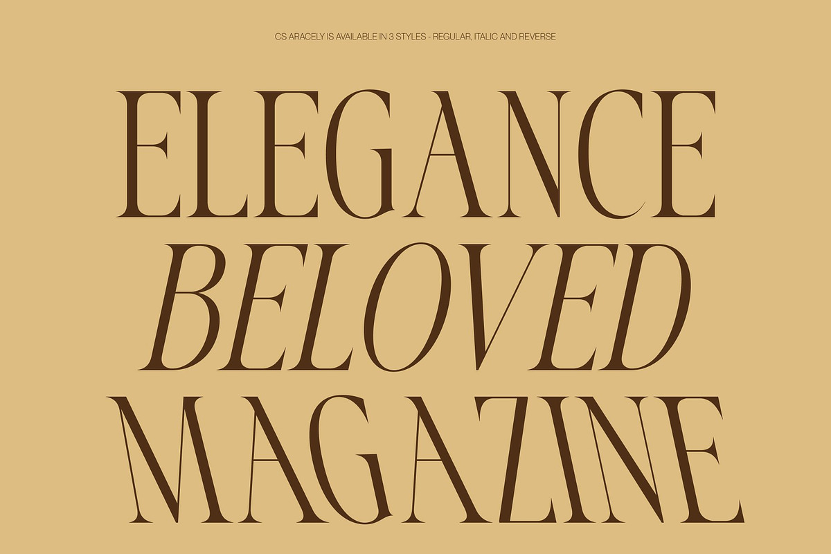 CS Aracely – Elegant Serif Font, a Serif Font by Craft Supply Co. (Photo 3 of 8)