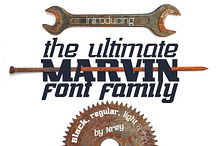 Marvin family